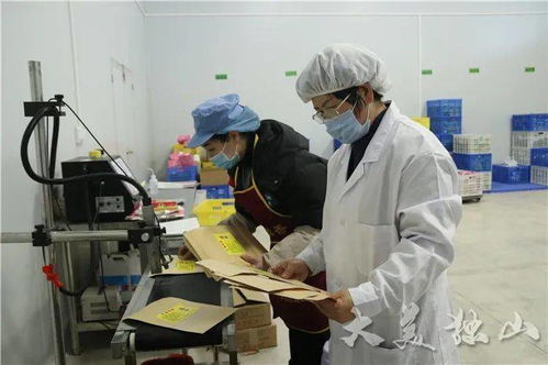 獨山縣小微企業商會獲“四好”榮譽，食品互聯網銷售成創新亮點