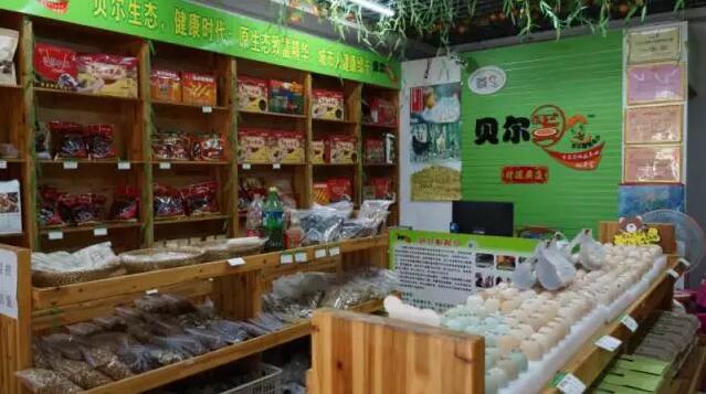 “互聯網+”雞蛋 以卵擊石還真行！